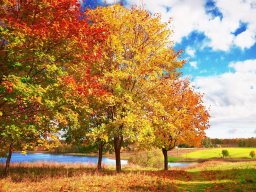 Синоптик: 28 октября в Украину &laquo;ворвется&raquo; бабье лето