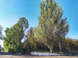 Исторические места Константиновки: Парк &laquo;Автостекло&raquo;