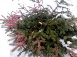 Злоумышленники в Константиновке продолжают &laquo;отмечать&raquo; Новый год