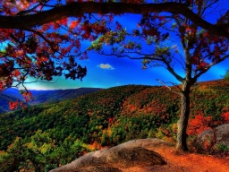 Синоптик: Навыходных антициклон Lizbeth &laquo;подарит&raquo; Украине шикарную погоду (КАРТА)