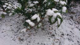 Готовы ли коммунальные службы Константиновки к зиме