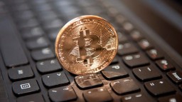 Белорусскую криптовалюту &laquo;талер&raquo; собираются вывести на биржу в январе