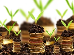 Глава Кабмина: Продажа земли иностранцам должна решаться на всеукраинском референдуме