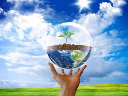 5 июня &mdash; Всемирный день окружающей среды (День эколога)