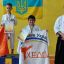 Константиновские каратисты завоевали 18 наград на Кубке Одесской области по традиционному карате-до 4