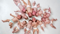 В Константиновке этой осенью наметился бэби-бум?!