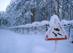 Ситуация на блокпостах 9 января