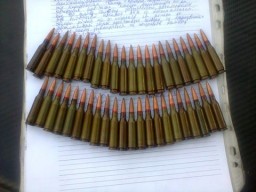 На &laquo;Ветерке&raquo; задержали &laquo;PEUGEOT&raquo; с боеприпасами