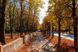 Обстановка в Константиновке 27 ноября 2022 года