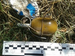 Константиновец в мусоре нашел три боевые гранаты (ФОТО)