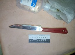 В Константиновке женщина ударом ножа &laquo;успокоила&raquo; мужа (ФОТО)