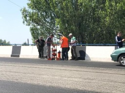 Запахло жареным: северный путепровод в Константиновке &laquo;побил долгоносик&raquo;