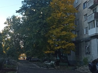 Обстановка в Константиновке 19 октября: Один из округов под обстрелом