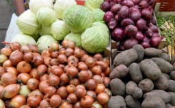 
Мониторинг цен на популярные продукты в Константиновке (2.03.2023)
