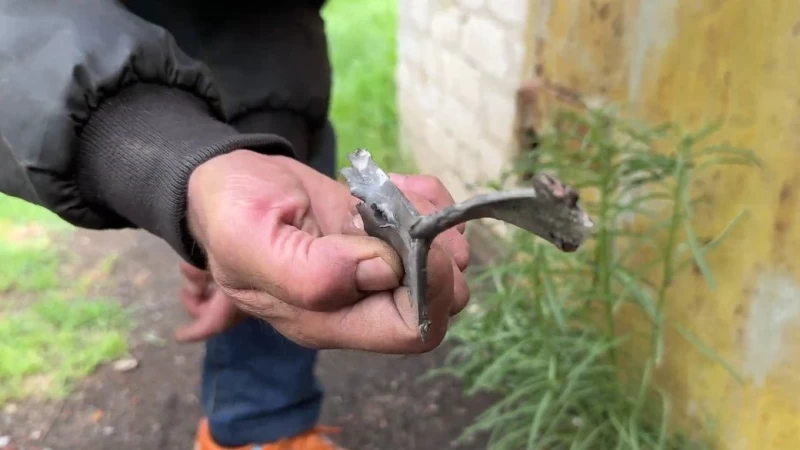 Зображення