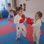 Мастер-класс по карате-до для детей из Константиновки - тренировка, опыт и развитие 3