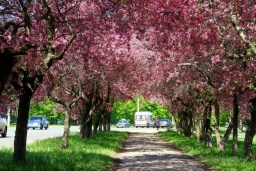 Обстановка в Константиновке 29 апреля 2023 года
