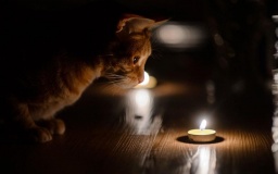 Где сегодня ночью в Константиновке отключат свет