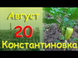 20 августа 2022 года Константиновка Донецкая область Донбасс