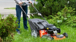 Виды газонокосилок: советы по выбору