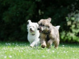 Погода в Украине 4 сентября: Местами пройдут дожди с грозами