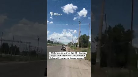 Необычная эвакуация: Наземный робот 93-й бригады подвез обессиленную бабушку с собаками из Константи