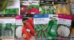 
Семена в Константиновке подорожали незначительно, но спрос пока не велик
