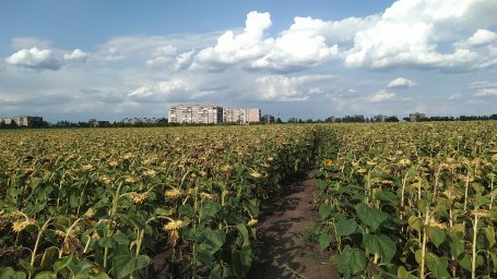 Обстановка в Константиновской громаде 26 августа 2023 года