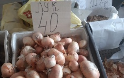 
В Константиновке значительно подешевели рассада, часть ягод и овощей
