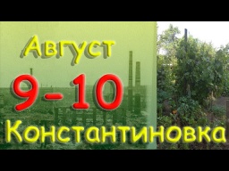 10 августа 2022 года. Константиновка. Донецкая область. Донбасс.