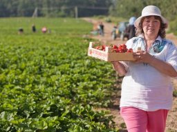 В Украине ускоряется инфляция из-за отсутствия рабочей силы &ndash; экономист
