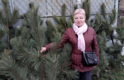 Выбрать елку теперь могут и жители правобережья Константиновки