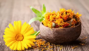 Цветки календулы ( ноготки ) сухие от 1 грамма